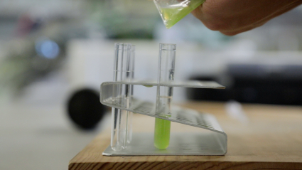 Laboratorio de investigación 