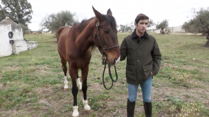Díter Adrián Venegas Rejoneador Caballo Tierra de Toros Canal Extremadura