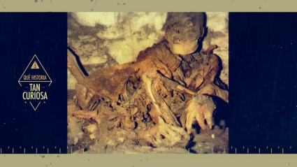 momias_que-historia-tan-curiosa-programa