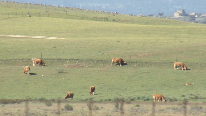 Llanos de Cáceres