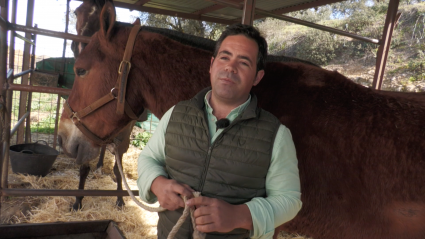 Alvaro Marron Suerte de Varas Caballo de picar Hay que picar Tierra de Toros CAnal Extremadura Zaragozano