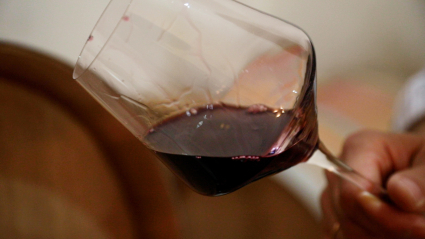 Persona catando vino en una bodega