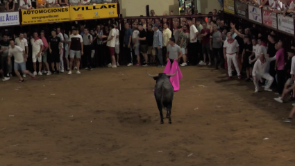 Victorino Martín San Juan Coria Sanjuanes Encierro Plaza Calle Fiesta  Toro Tierra de Toros Canal Extremadura