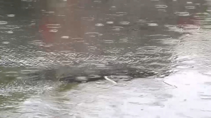 Lluvia en la provincia de Cáceres