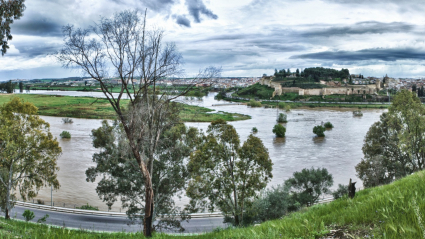 Rio Guadiana