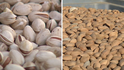 Pistachos y almendras de Extremadura