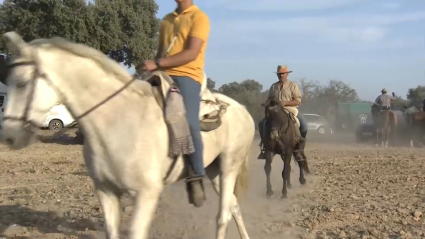 caballistas 