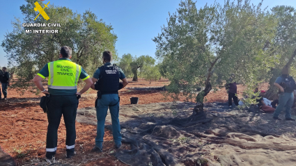 Inspección en una finca de Fuente del Maestre