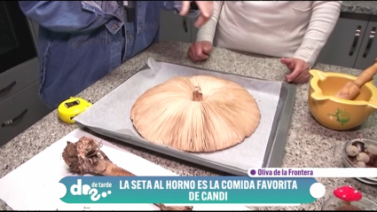 seta parasol de record