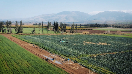 Fincas de agricultura ecológica