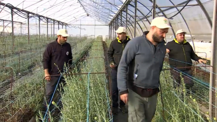 Jóvenes agricultores participan en el programa 'Cultiva' en Valdelacalzada