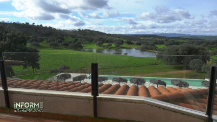 cigüeña negra, valverde del fresno