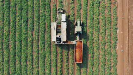 Máquina agrícola realizando labores en el campo
