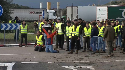 Protesta de agricultores y ganaderos en Mérida