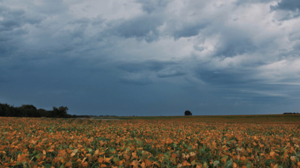 Cielo con nubes en un campo extremeño