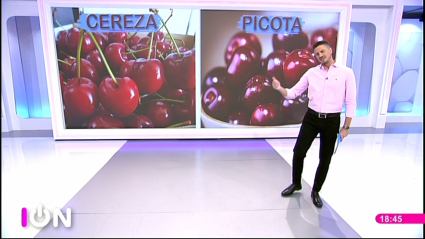 diferencias entre cereza y picota