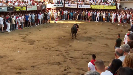 Sanjuanes de Coria