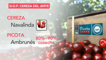 Cerezas y picotas