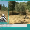 María José Barrantes informa de las prohibiciones en el campo durante el período de peligro alto de incendios en la región