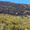 Imágenes de la superficie quemada por el incendio