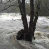 Crecida del arroyo de Las Pilas en Collado de la Vera