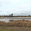 Imagen del azud del río Guadiana a su paso por Badajoz.