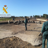 Explotación donde se encontraban los animales con los que, presuntamente, se produjo la estafa