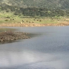 Presa del Jerte | ARCHIVO