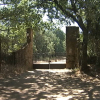 Brote en un campamento infantil celebrado en Cuacos de Yuste