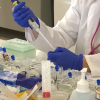 El SES cree que la variante colombiana entró en Extremadura a finales de junio. Una técnico analiza muestras de coronavirus en un laboratorio para establecer su secuenciación genética.