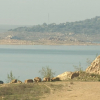 Pantano