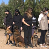 Supervivientes de violencia de género