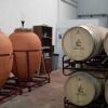 Bodega de Viñaoliva en Almendralejo.