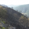 Monte arrasado en Hervás