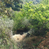 Imagen del vehículo en el barranco de Nuñomoral