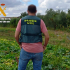 Guardia Civil en el campo