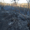 Imagen del incendio en Salvaleón