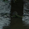 SORPRENDENTES IMÁGENES DE LA LLUVIA EN EXTREMADURA