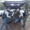 Agentes del medio natural