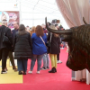 Feria del Toro en Coria