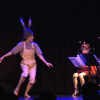 Platero en el festival ibérico de música de Badajoz