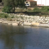 Río Jerte