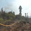 Bomberos de la Brif de Pinofranqueado regresan de Tenerife