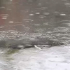 Lluvia en la provincia de Cáceres