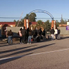 Nuevas incorporaciones al CEFOT de Cáceres