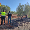 Inspección en una finca de Fuente del Maestre