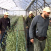 Jóvenes agricultores participan en el programa 'Cultiva' en Valdelacalzada