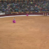 Feria del toro en Olivenza