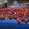 Cerezas
