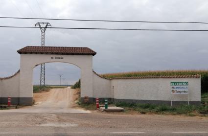 Finca donde se ha producido el accidente